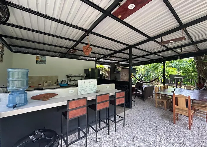 Ds House