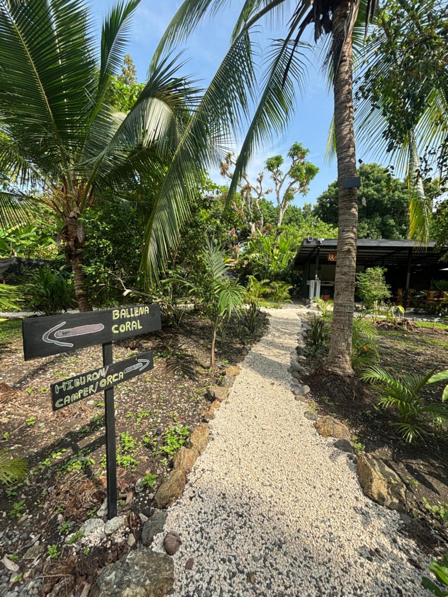 Ds House Cabuya (Puntarenas)