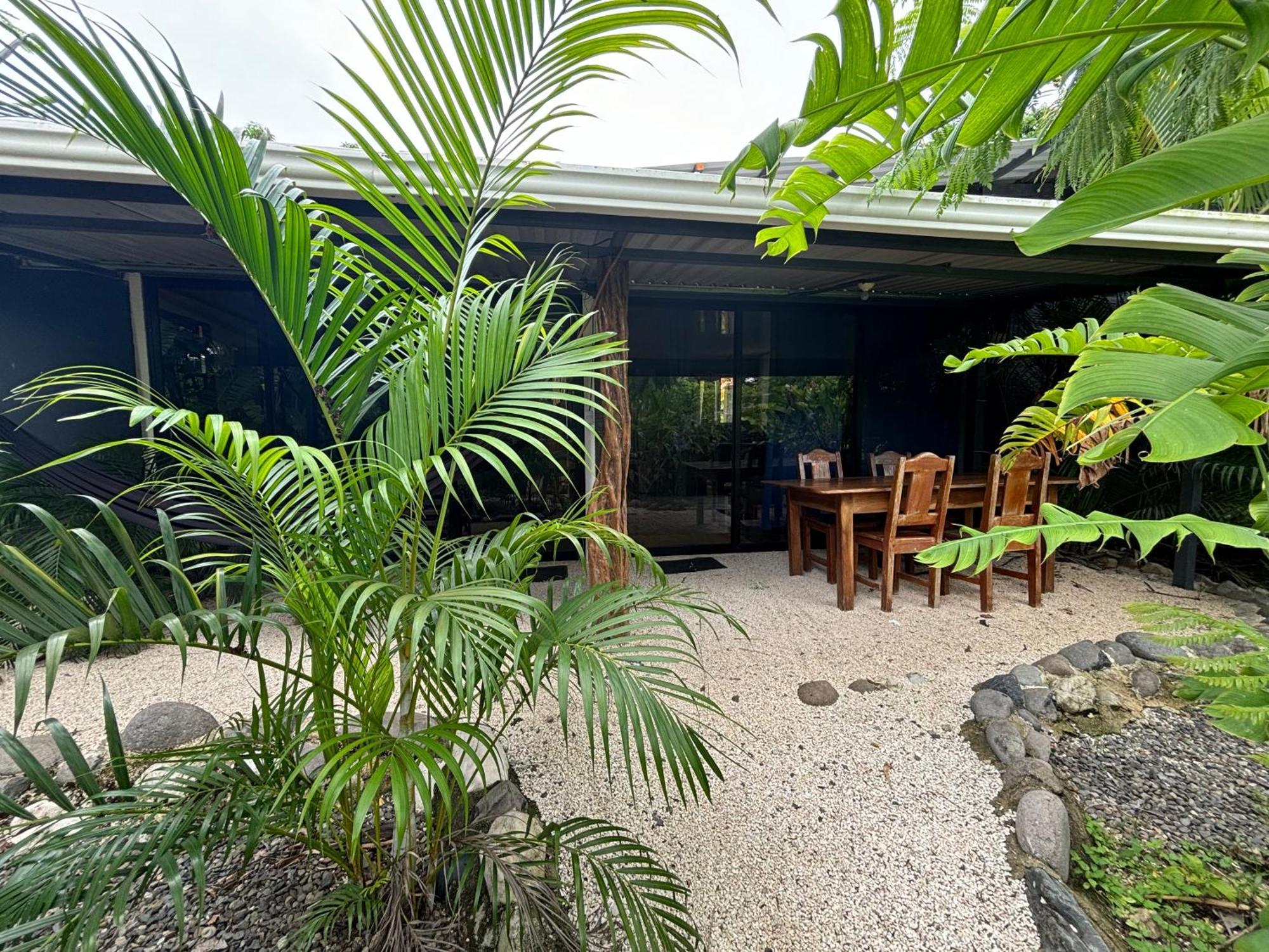Ds House