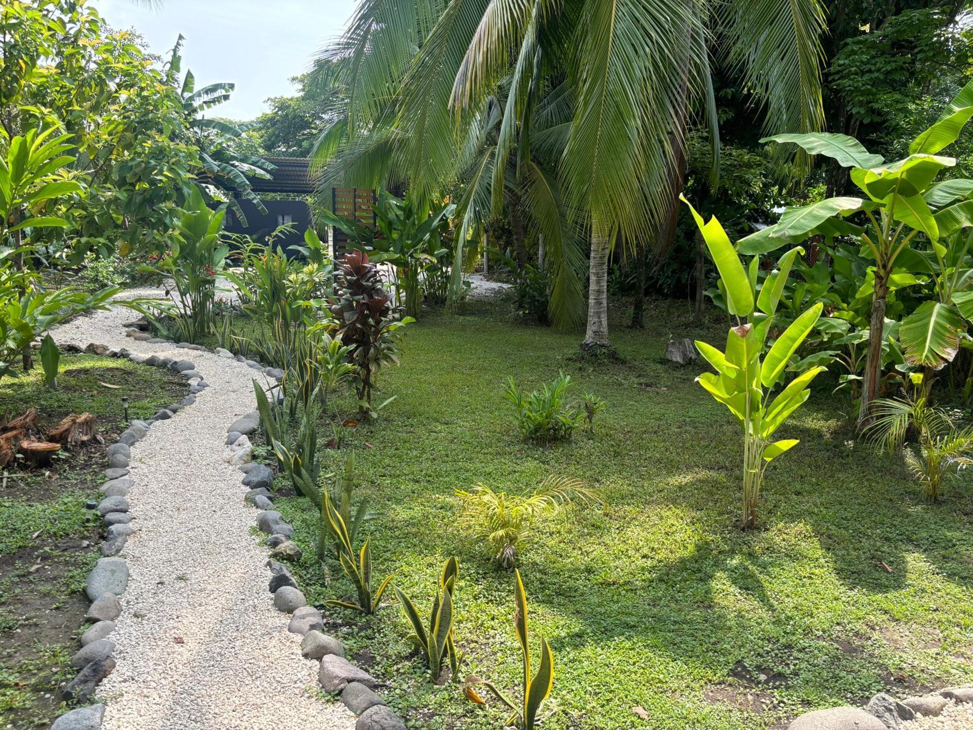Campsite Ds House Cabuya (Puntarenas)