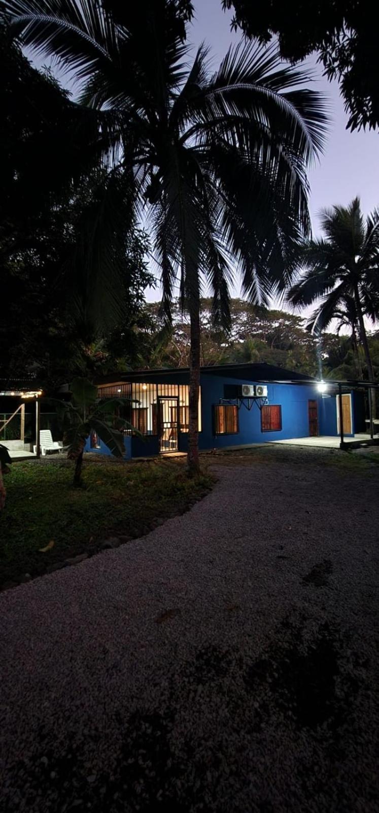 Ds House