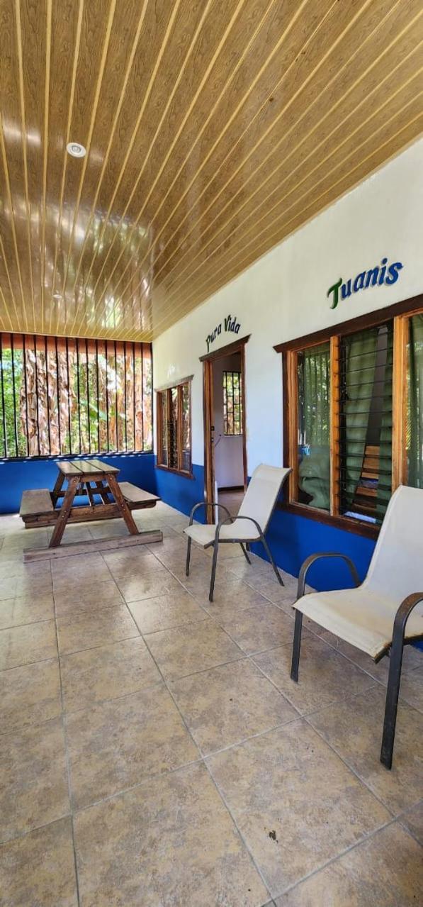 Ds House *